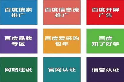 案例解读：SEM代理助力电商销量翻倍